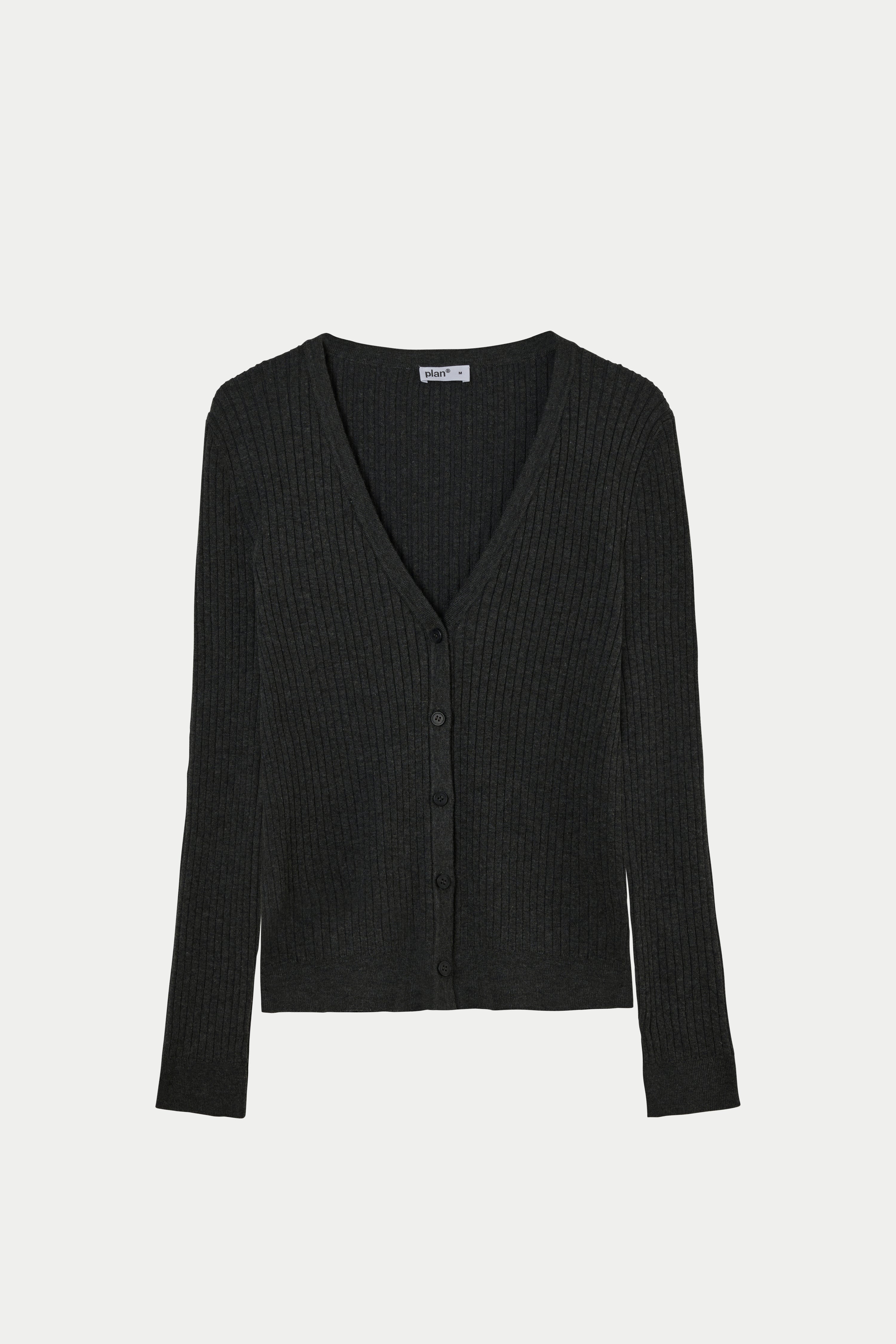 קרדיגן ריילי