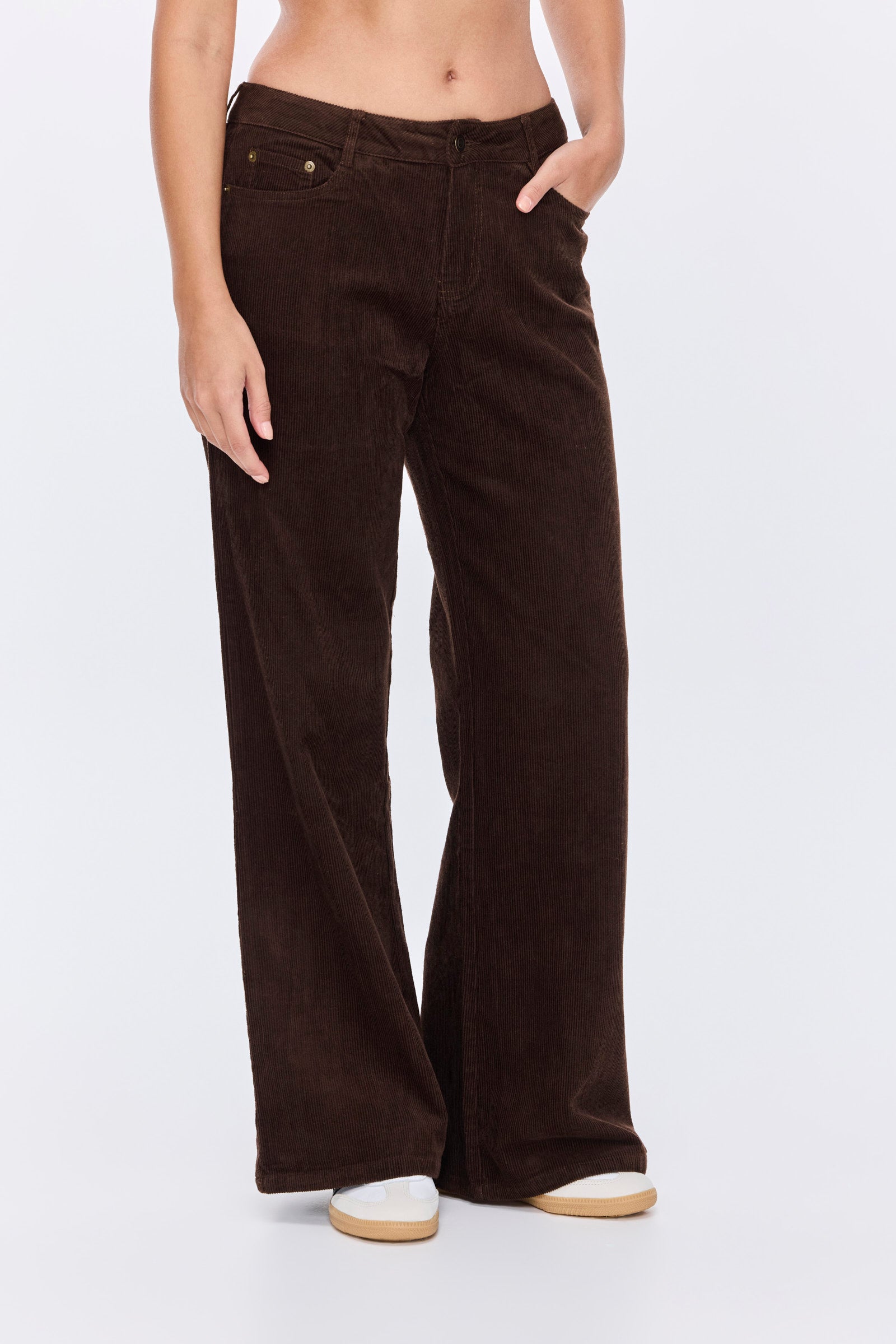 מכנסי הדסון