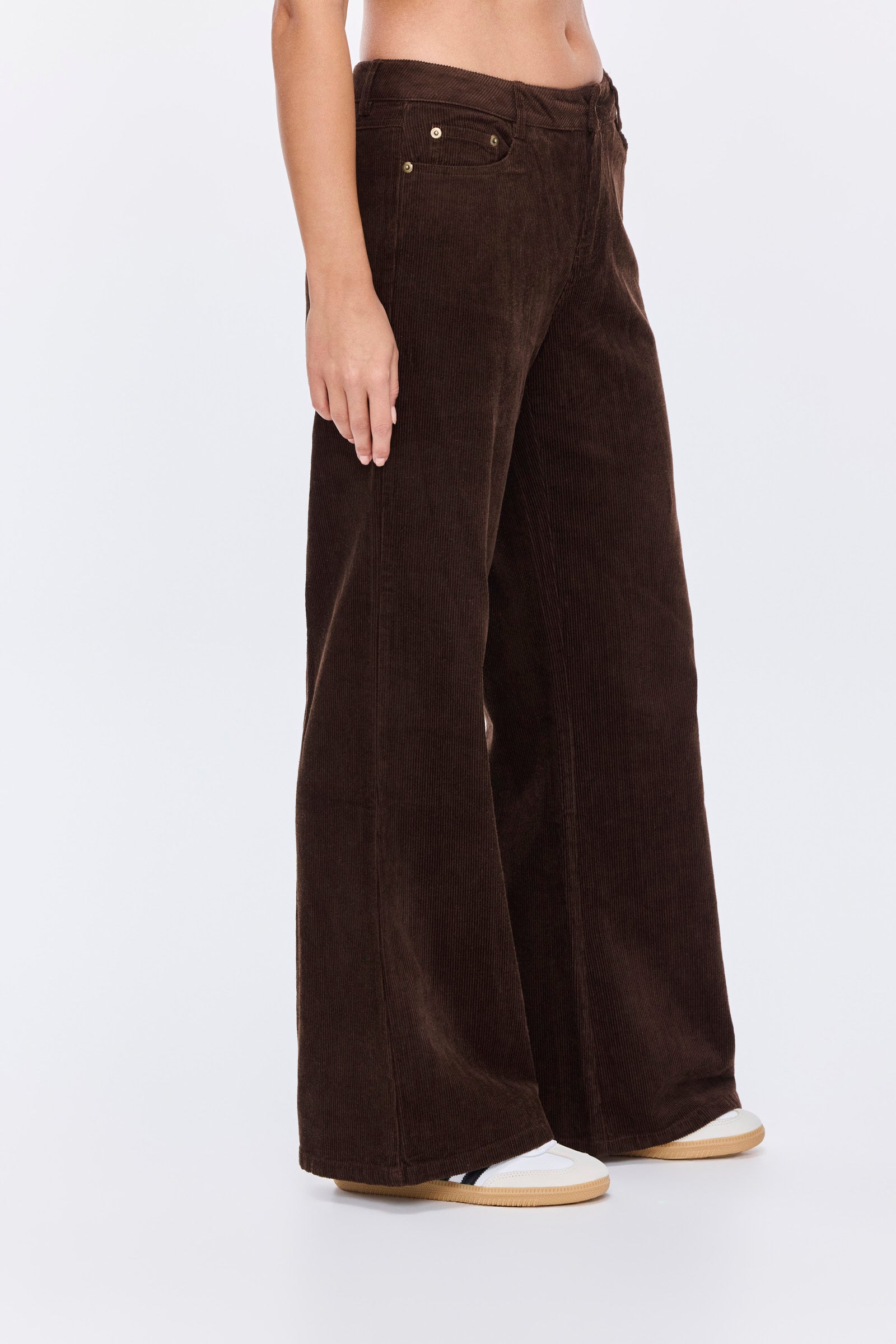 מכנסי הדסון