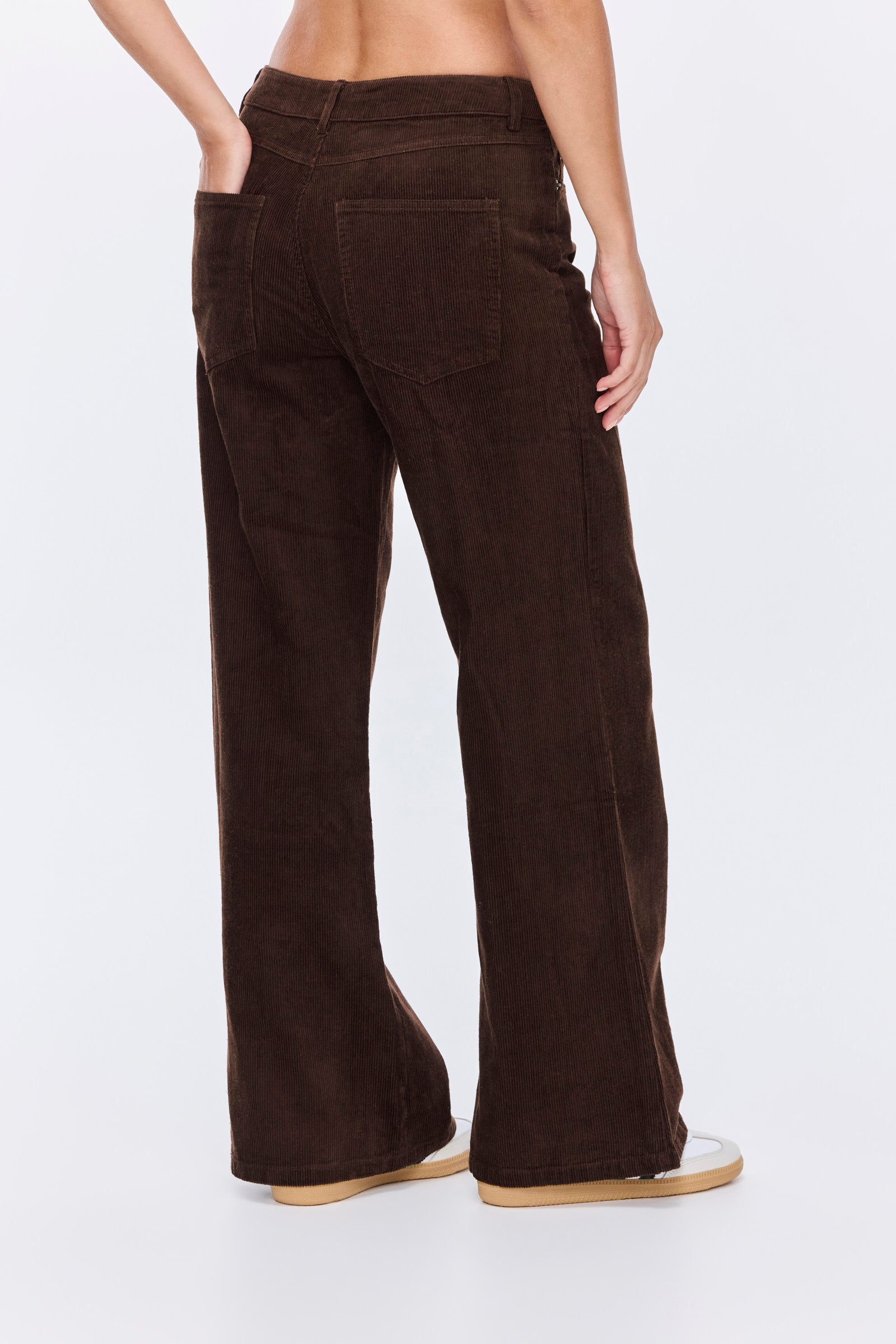 מכנסי הדסון