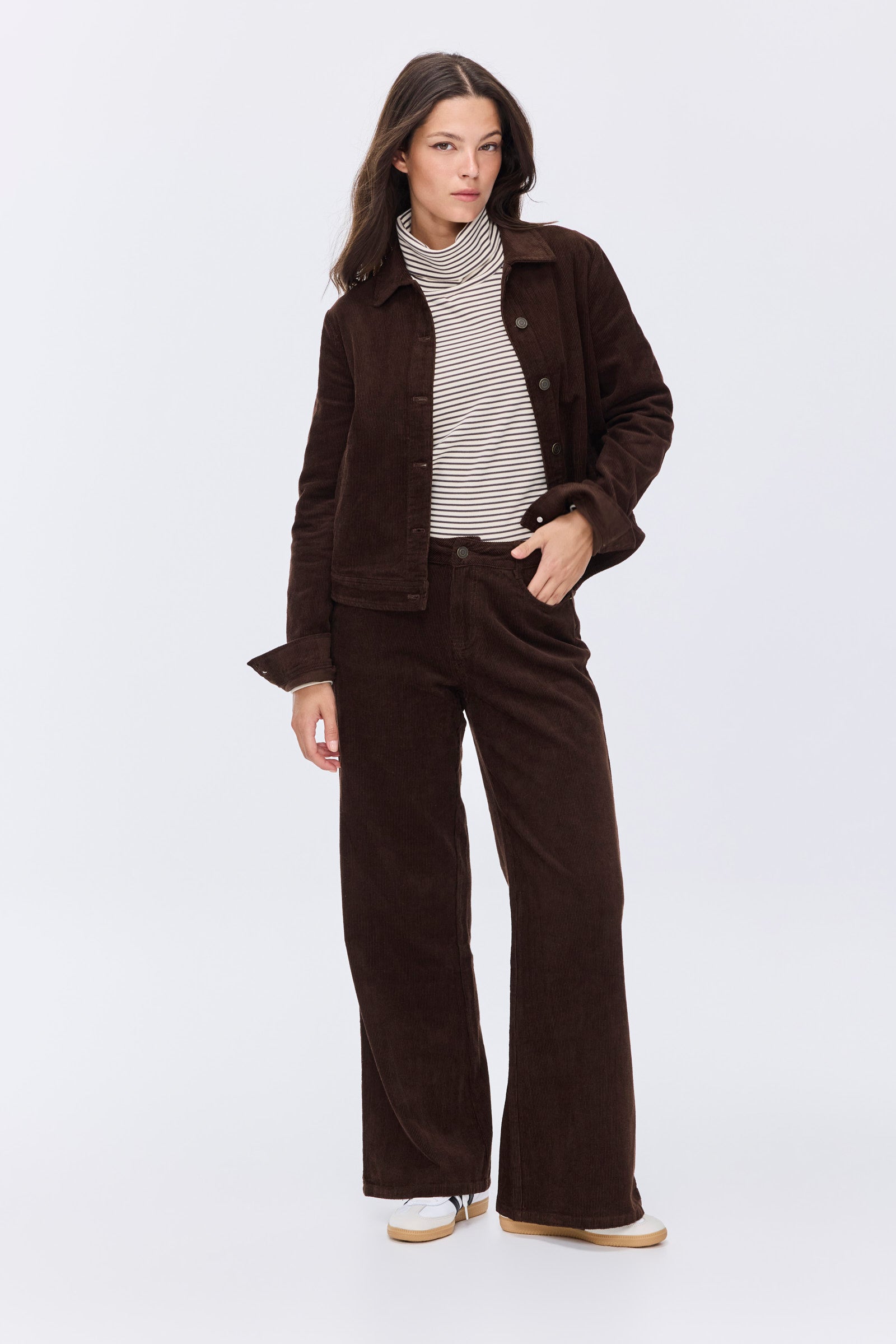 מכנסי הדסון